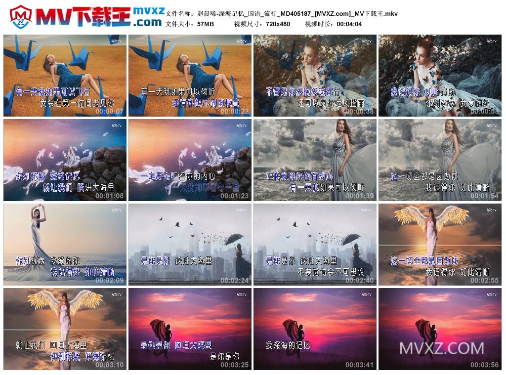 赵晨唏-深海记忆_国语_流行_MD405187